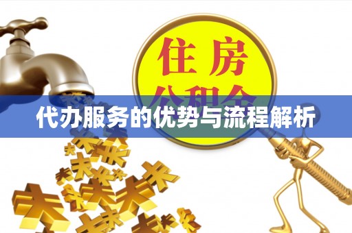 南岗代办服务的优势与流程解析