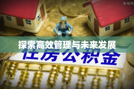南岗探索高效管理与未来发展