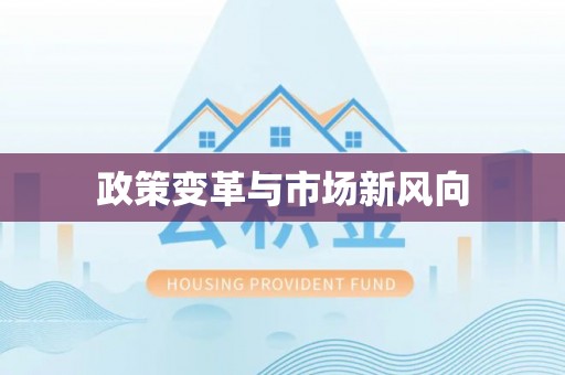 南岗政策变革与市场新风向