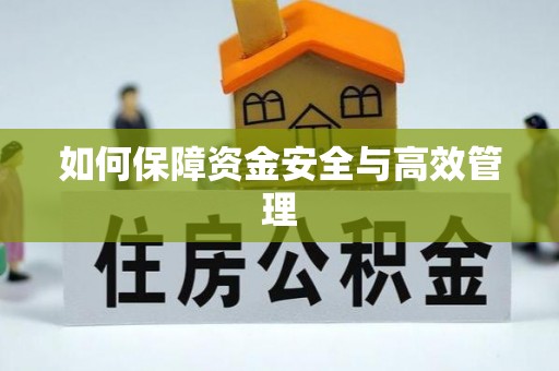 南岗如何保障资金安全与高效管理