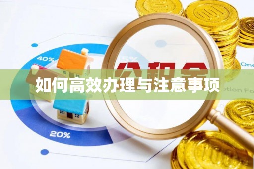 南岗如何高效办理与注意事项