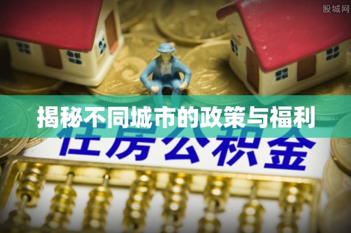 南岗揭秘不同城市的政策与福利