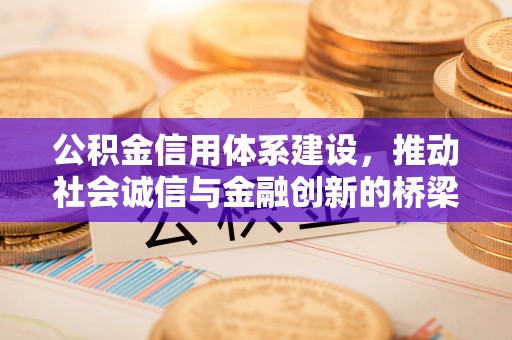 南岗公积金信用体系建设，推动社会诚信与金融创新的桥梁