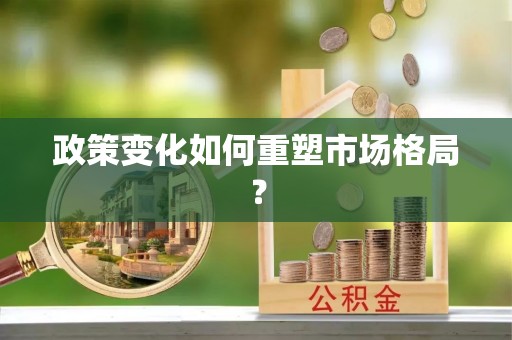 南岗政策变化如何重塑市场格局？