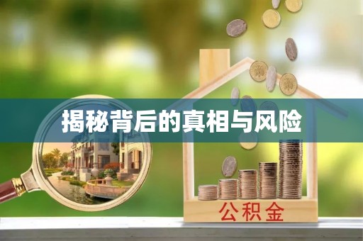 南岗揭秘背后的真相与风险