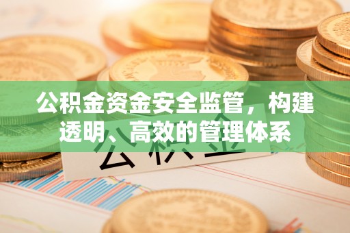 南岗公积金资金安全监管，构建透明、高效的管理体系