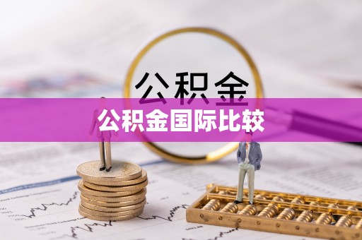 南岗公积金国际比较
