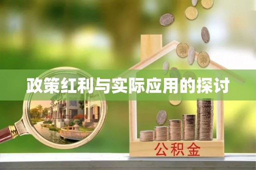 南岗政策红利与实际应用的探讨