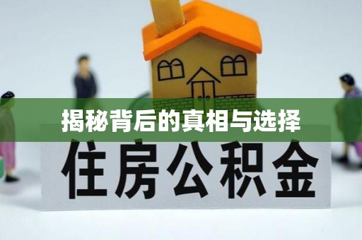 南岗揭秘背后的真相与选择
