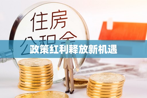 南岗政策红利释放新机遇