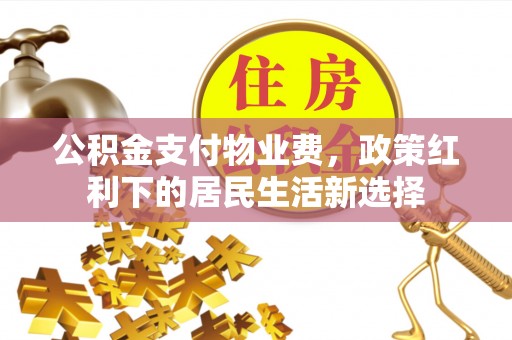 南岗公积金支付物业费，政策红利下的居民生活新选择