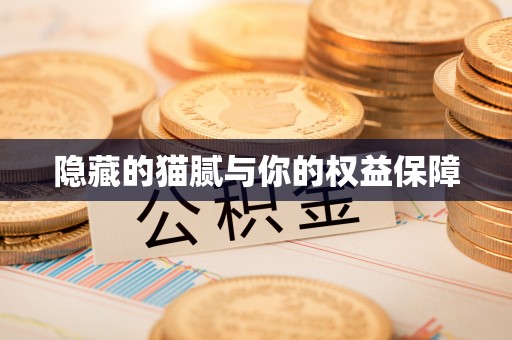 南岗隐藏的猫腻与你的权益保障