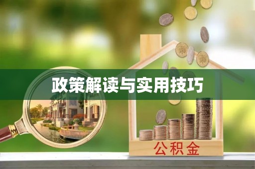 南岗政策解读与实用技巧