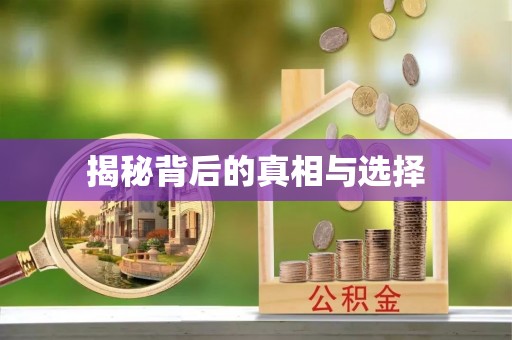 南岗揭秘背后的真相与选择