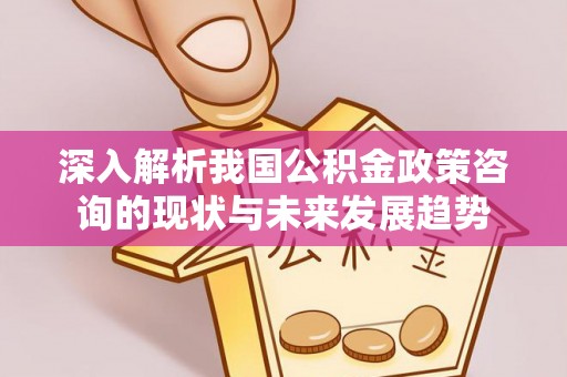 南岗深入解析我国公积金政策咨询的现状与未来发展趋势