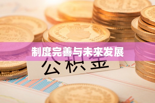 南岗制度完善与未来发展
