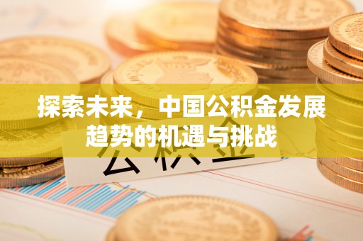 南岗探索未来，中国公积金发展趋势的机遇与挑战