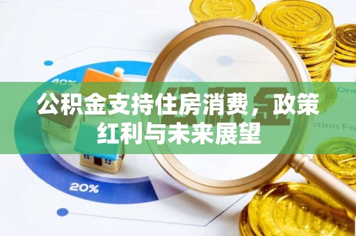 南岗公积金支持住房消费，政策红利与未来展望