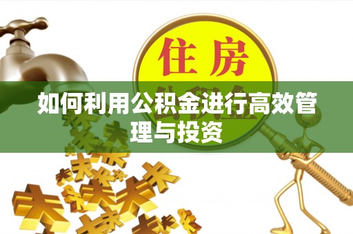南岗如何利用公积金进行高效管理与投资