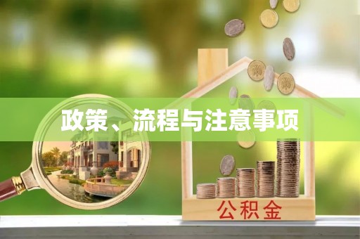 南岗政策、流程与注意事项