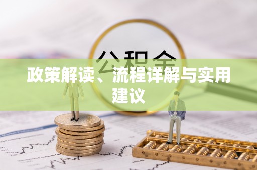 南岗政策解读、流程详解与实用建议