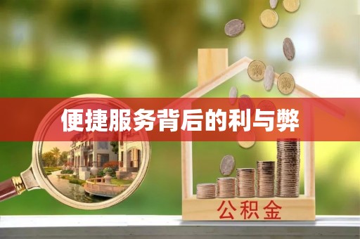 南岗便捷服务背后的利与弊