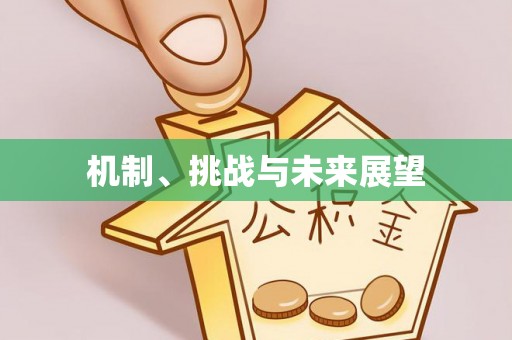 南岗机制、挑战与未来展望