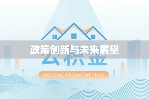 南岗政策创新与未来展望