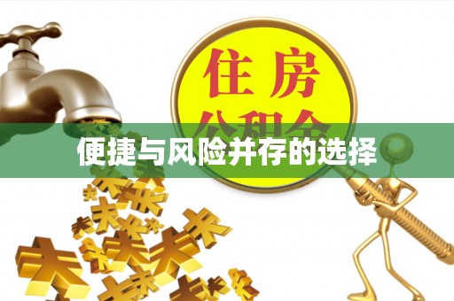 南岗便捷与风险并存的选择