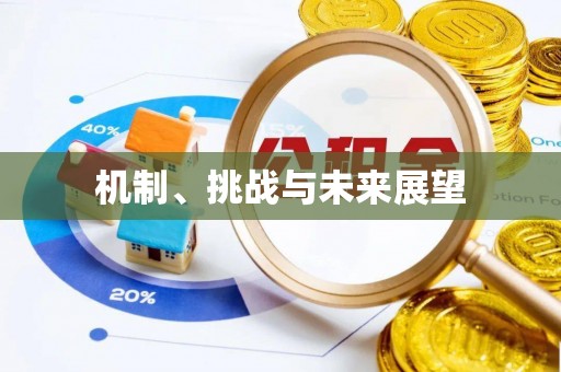 南岗机制、挑战与未来展望