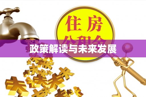 南岗政策解读与未来发展